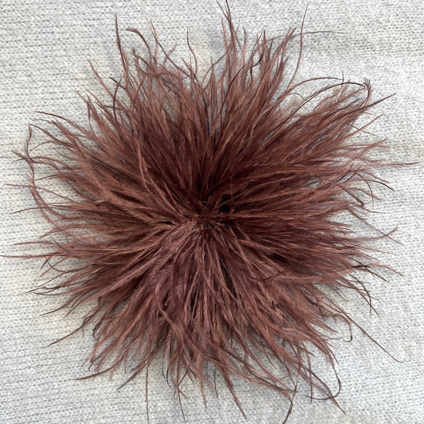 BROPLUM broche plumes